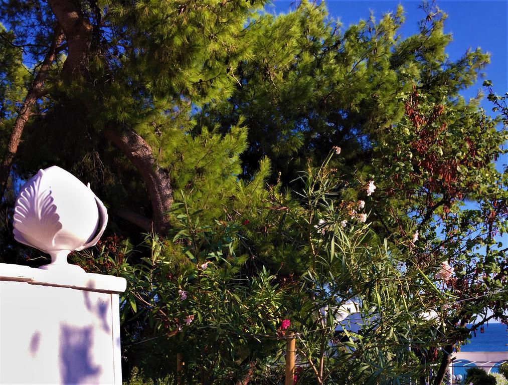 Vila Le Due Pigne (Adults Only) Taranto Exteriér fotografie